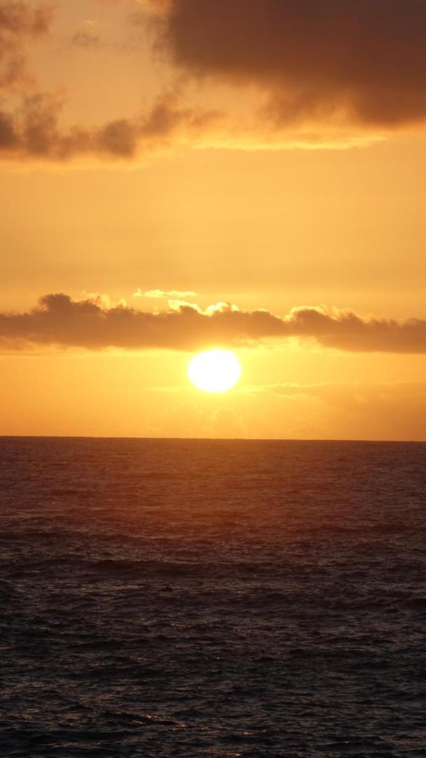 Terraza Los Cristianos Арона Экстерьер фото
